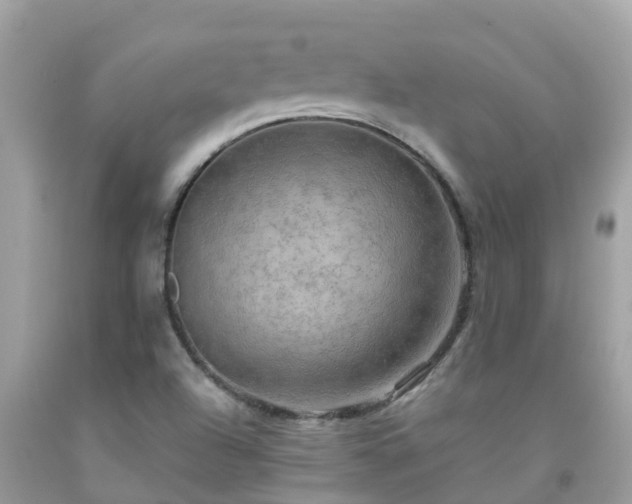 X0000092001504200709131504