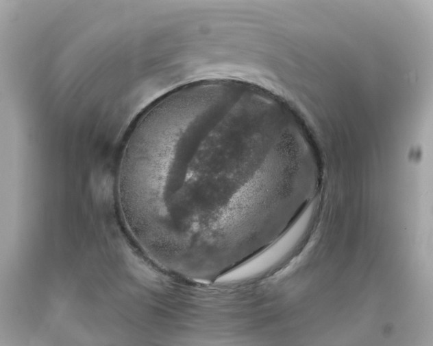 X0000092001505200709131504