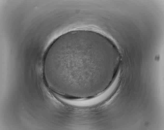 X0000092001506200709131504