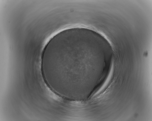 X0000092001508200709131504