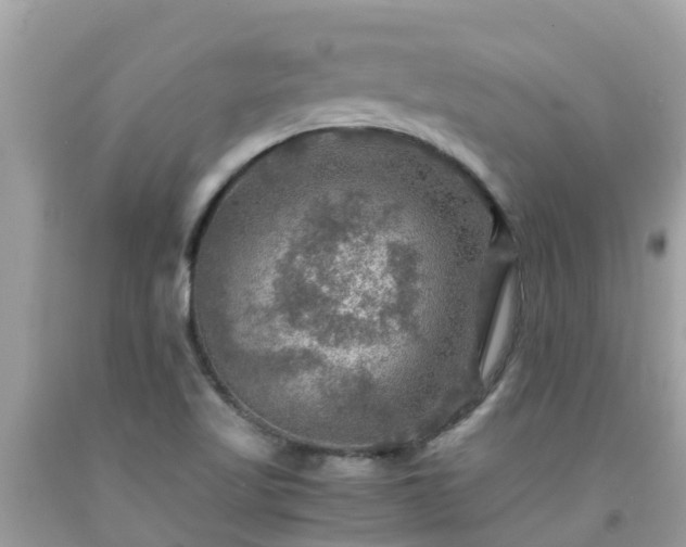 X0000092001509200709131504