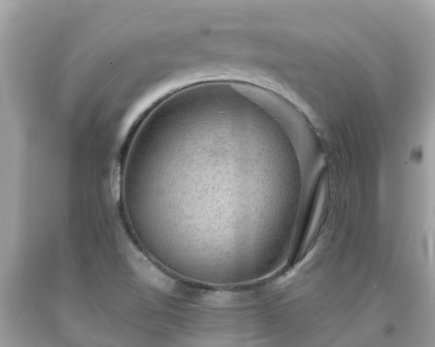 X0000092001510200709131504