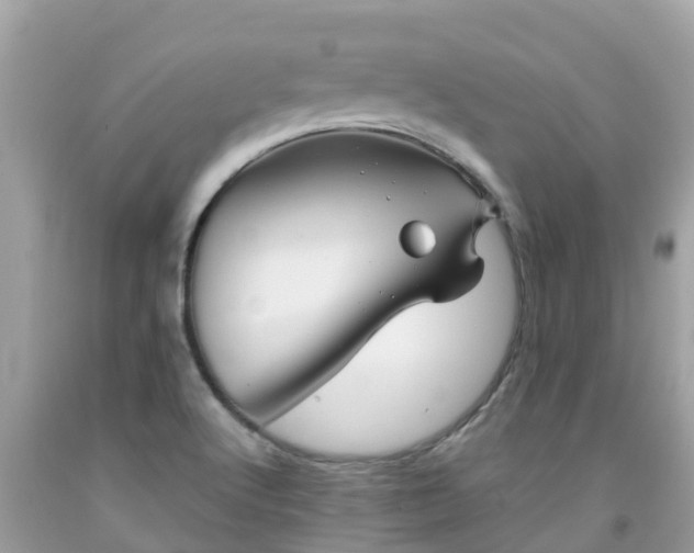 X0000092001512200709131504