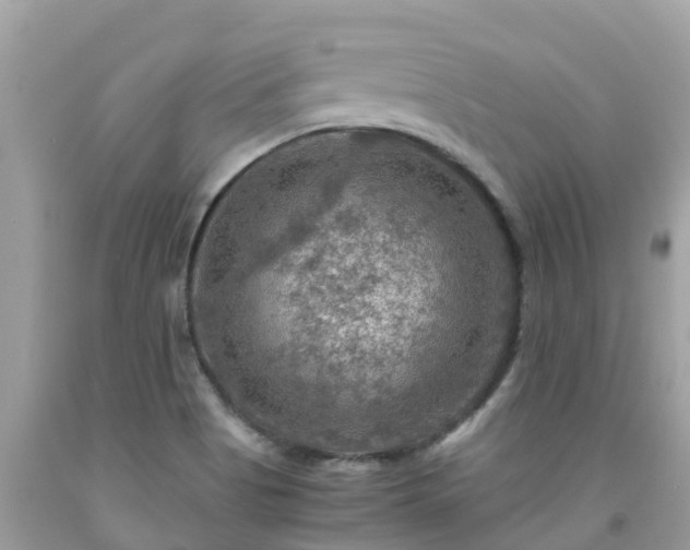 X0000092001513200709131504