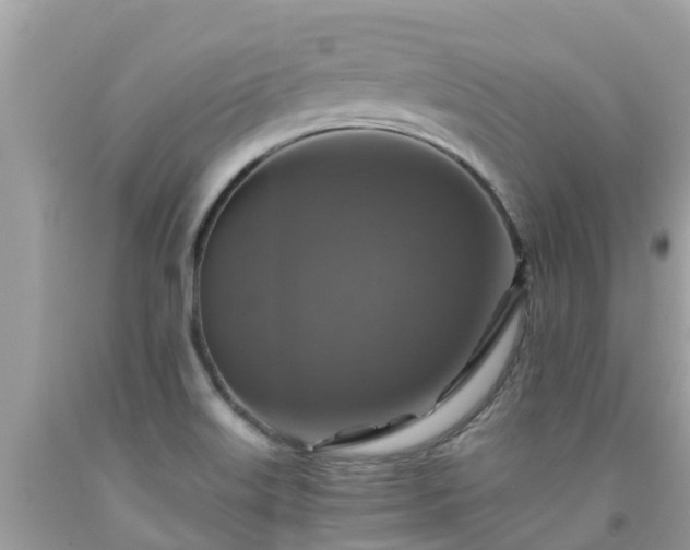 X0000092001515200709131504