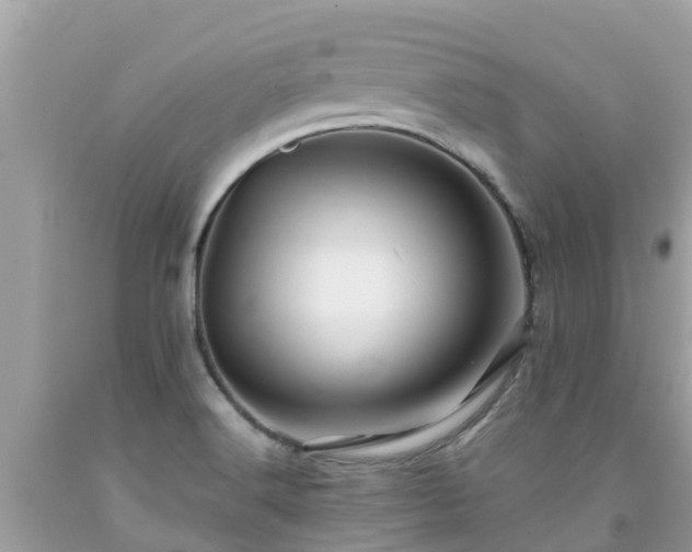 X0000092001516200709131504