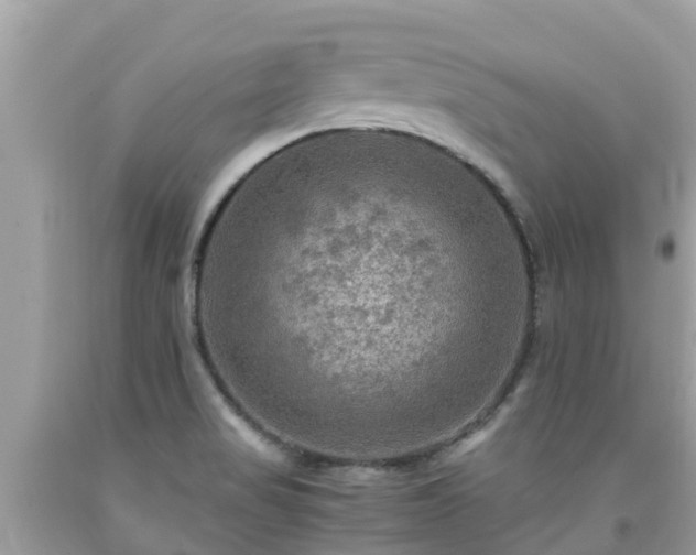 X0000092001517200709131504