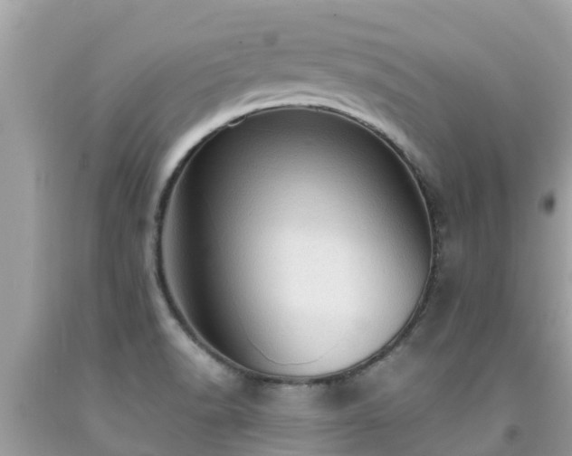 X0000092001518200709131504