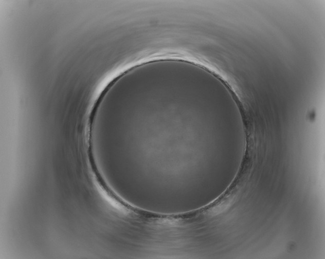 X0000092001519200709131504