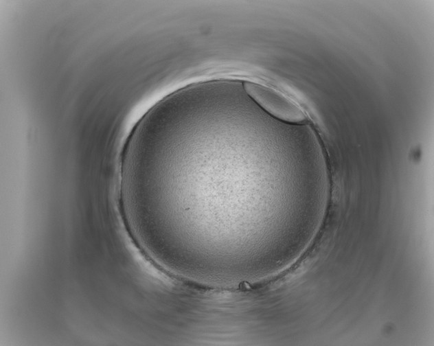 X0000092001520200709131504