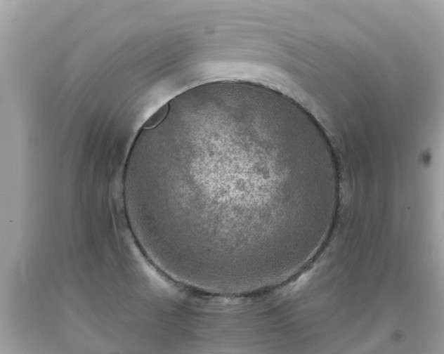 X0000092001521200709131504