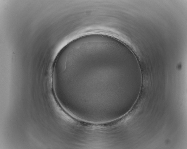 X0000092001522200709131504