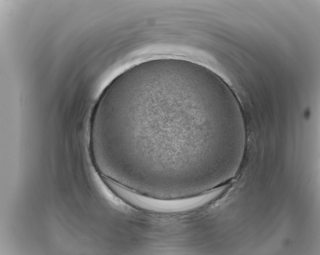 X0000092001523200709131504