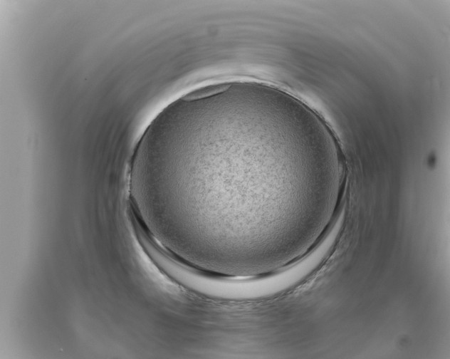 X0000092001524200709131504