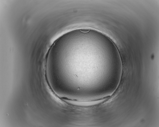 X0000092001526200709131504