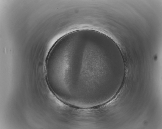 X0000092001527200709131504