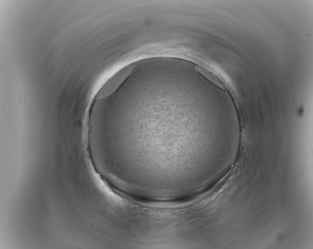 X0000092001528200709131504