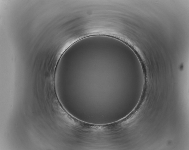 X0000092001529200709131504