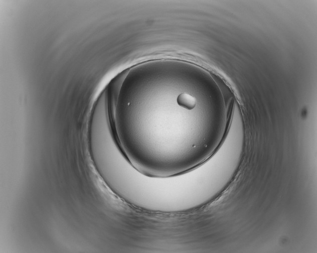 X0000092001530200709131504