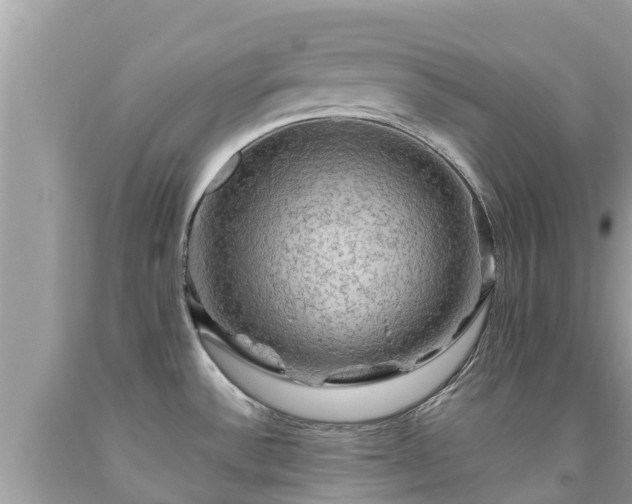 X0000092001532200709131504