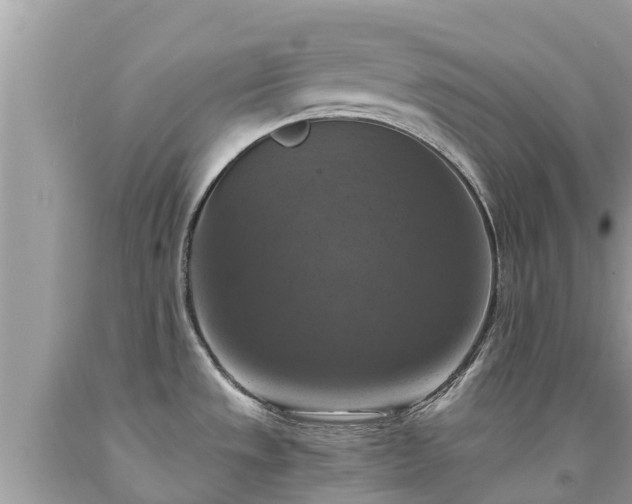 X0000092001533200709131504