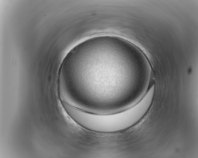 X0000092001534200709131504