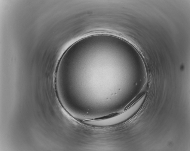 X0000092001535200709131504