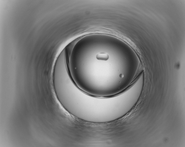 X0000092001536200709131504