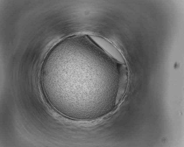 X0000092000001200709201519