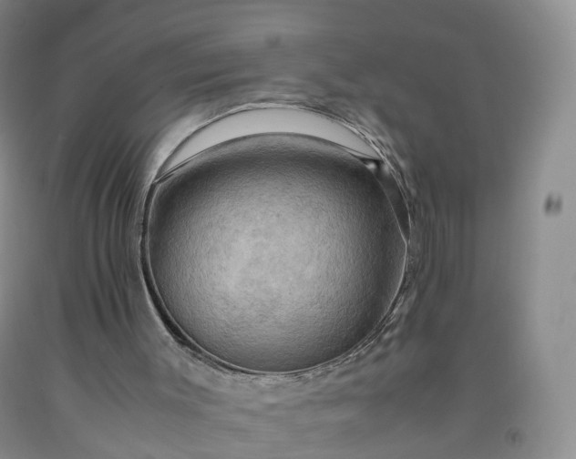 X0000092000003200709201519