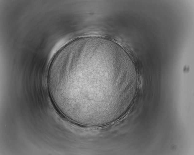 X0000092000004200709201519