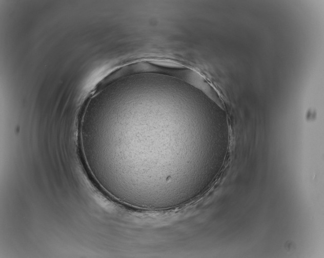 X0000092000005200709201519