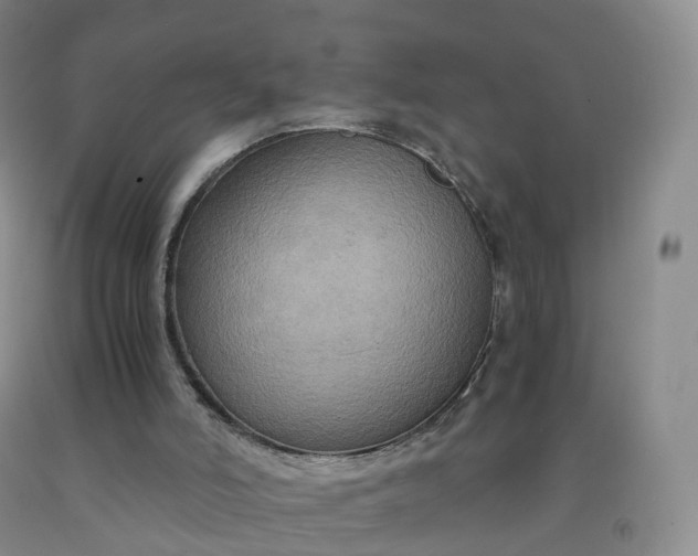 X0000092000006200709201519