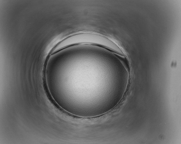 X0000092000007200709201519