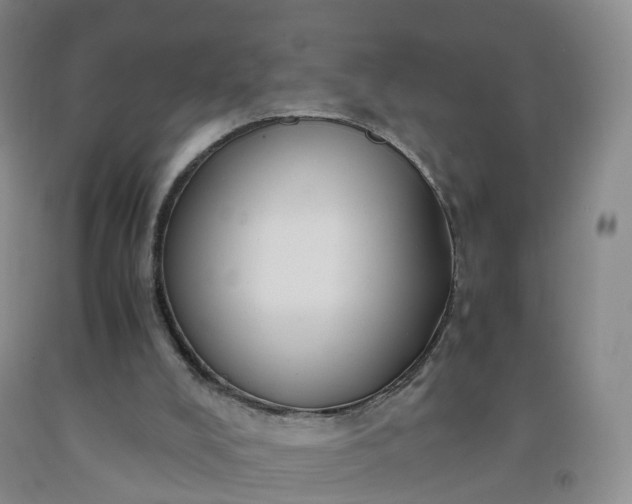 X0000092000008200709201519