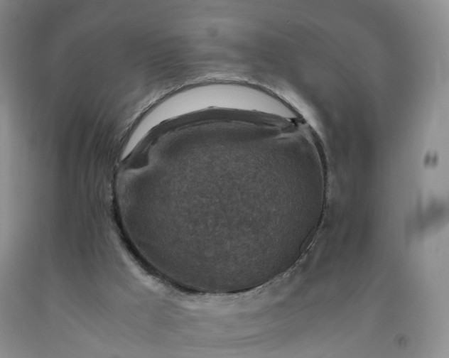 X0000092000009200709201519