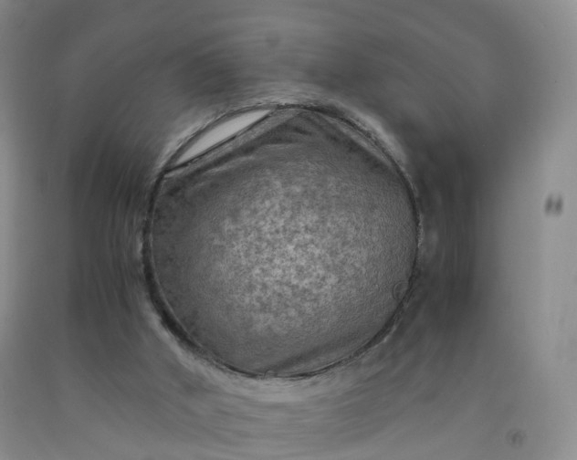 X0000092000010200709201519