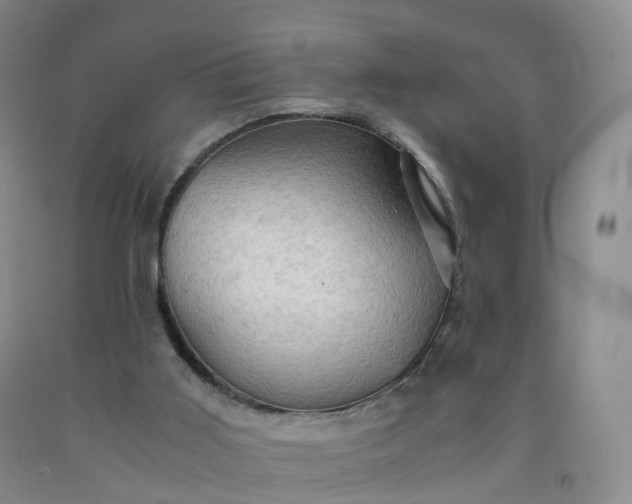 X0000092000011200709201519