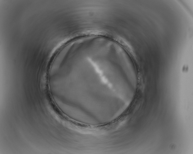 X0000092000012200709201519