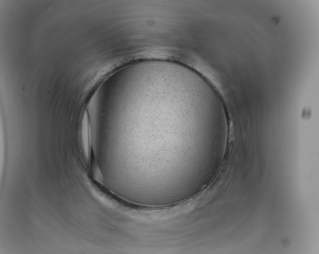 X0000092000013200709201519