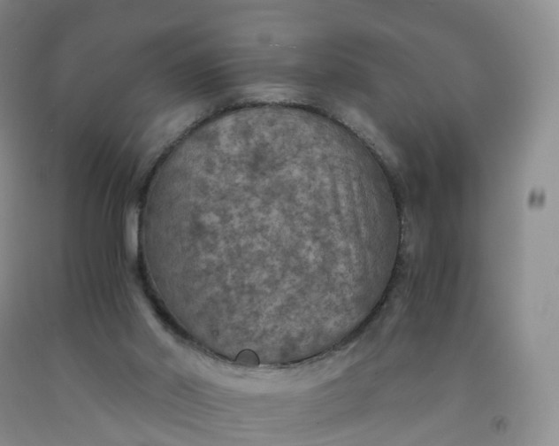 X0000092000014200709201519