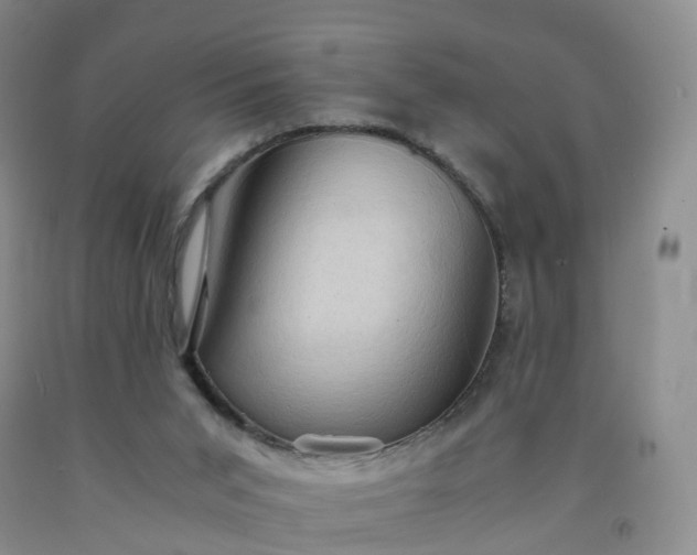 X0000092000015200709201519