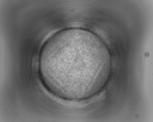 X0000092000016200709201519