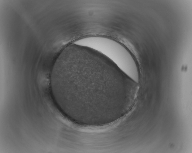 X0000092000017200709201519