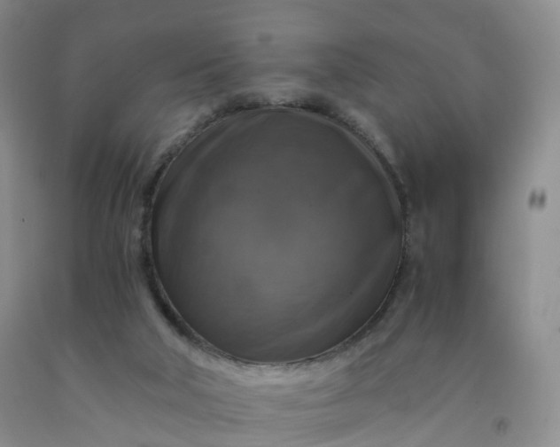 X0000092000018200709201519