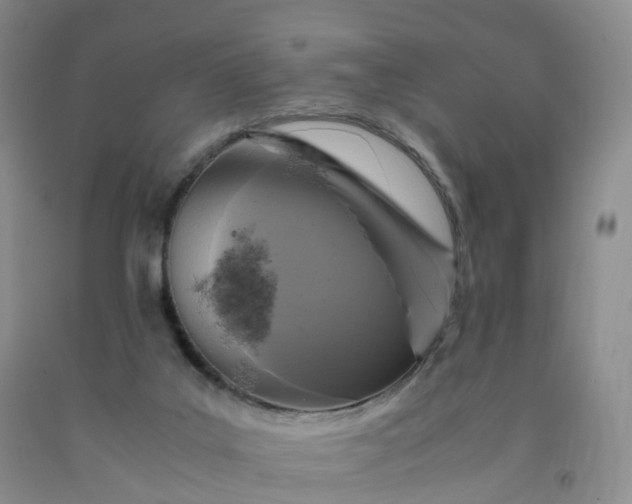 X0000092000019200709201519