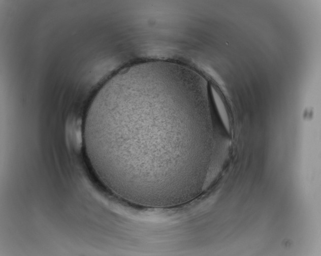 X0000092000020200709201519