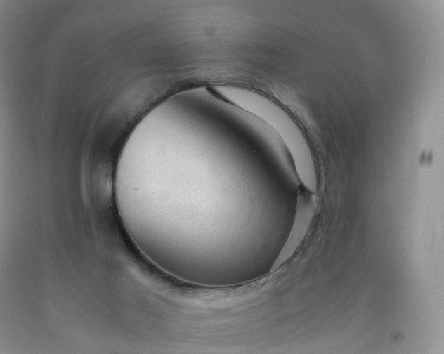 X0000092000021200709201519