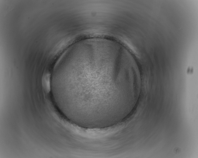 X0000092000022200709201519