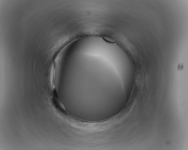 X0000092000023200709201519